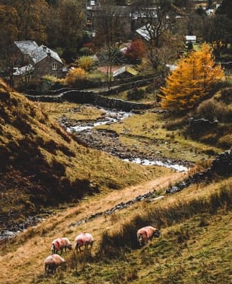 farm mountain view